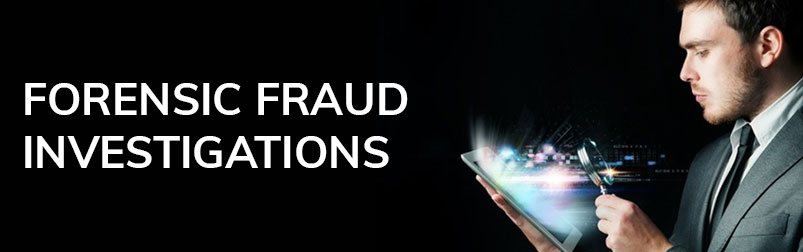 Trio-Data Forensic Fraud Investigations Service Image