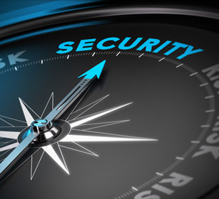Security Management Services and Consulting Services image