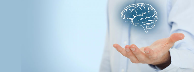 Trio-Data Business Intelligence Service Image