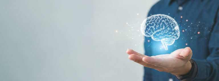 Trio-Data Business Intelligence Service Image