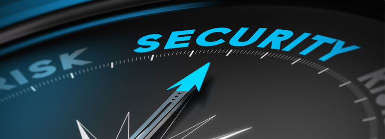 Security Management Services and Consulting Services image